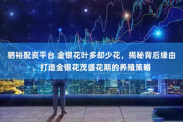 驷裕配资平台 金银花叶多却少花，揭秘背后缘由，打造金银花茂盛花期的养殖策略